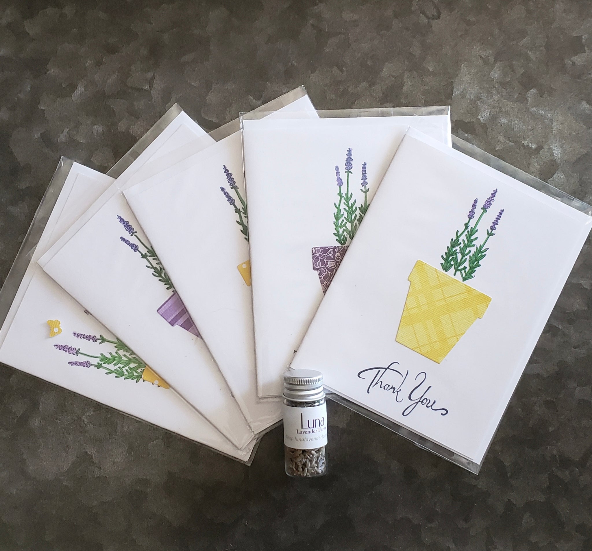 Set of 5 handmade lavender themed greeting cards with vial of lavender to sprinkle inside