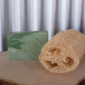 Aloe Vera Peppermint Soap bar with 4 inch all natural Loofah (Luffa) Gift Set